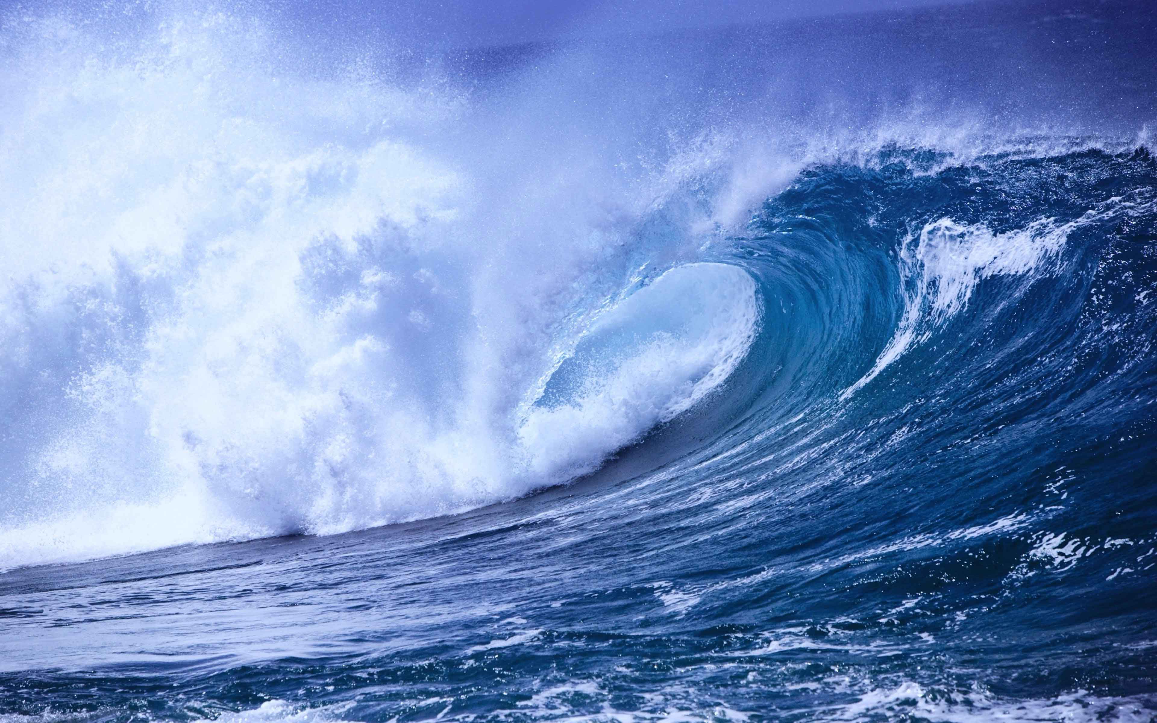 Life and Business are Waves